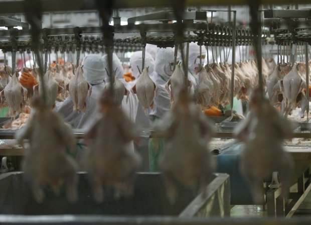 Украина снимает запрет на импорт птичьего мяса из Болгарии и Эстонии