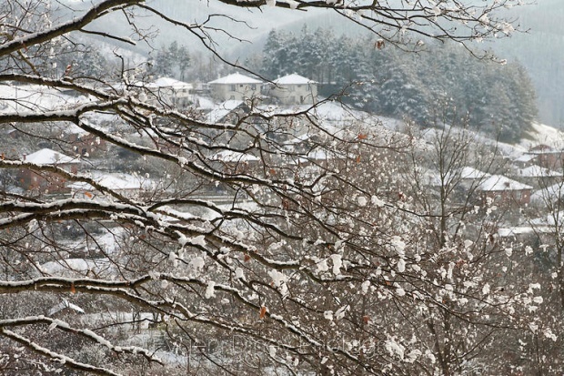В Болгарии ожидаются осадки в виде дождя и снега