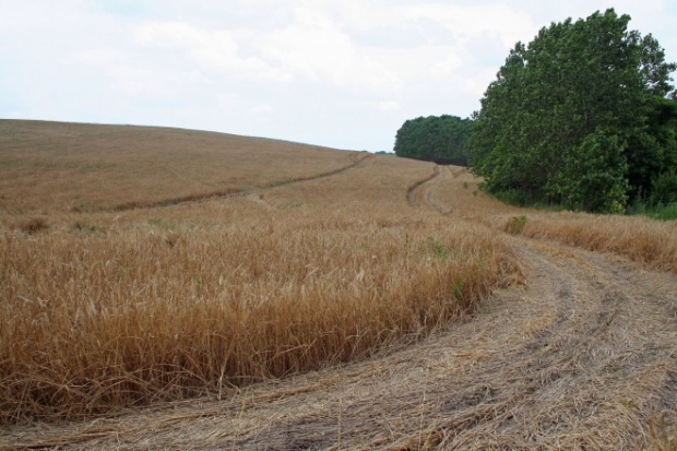 Иностранцы смогут свободно покупать землю в Болгарии с 1 января