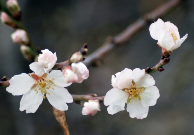 В Болгарию внезапно пришло лето