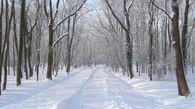 Третий день армия борется с зимней обстановкой в болгарском Плевене