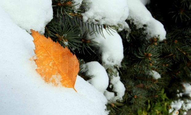 В субботу в Болгарии объявлен „желтый” код из-за сильного ветра и снегопада