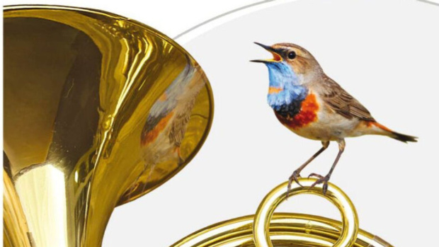 Акценты программы элитного Европейского музыкального фестиваля в Софии